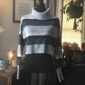 Wild Fable Blue Striped Sweater w/ Turtle Neck
Size Small